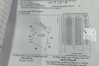2500m2 đất lúa xã Thuận Thành, huyện Cần Giuộc giá 2,5 tỷ
