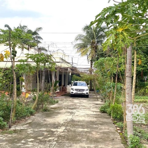 5000m2 đất góc 2 mặt tiền đường Nguyễn Thị Rành, xã Nhuận Đức giá 30 tỷ-2