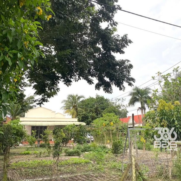 5000m2 đất góc 2 mặt tiền đường Nguyễn Thị Rành, xã Nhuận Đức giá 30 tỷ-3
