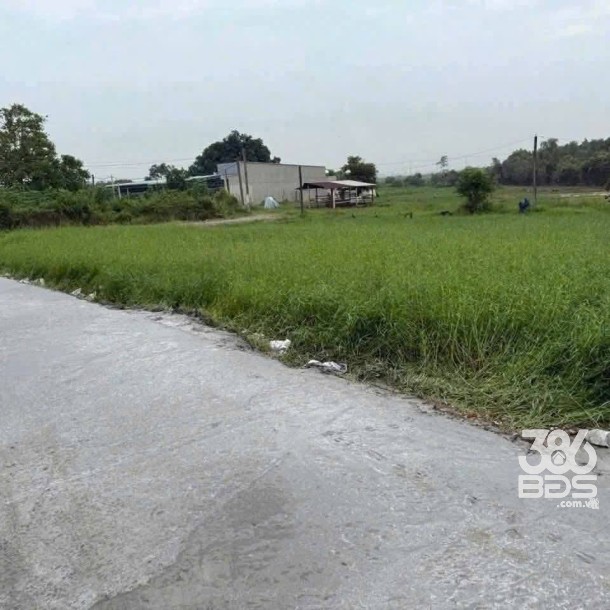 Bán đất thổ cư đường beton xe hơi xã Đức Lập Hạ , gần KCN Đức Hòa 3 dt 450m2 giá 2,45 tỷ-3