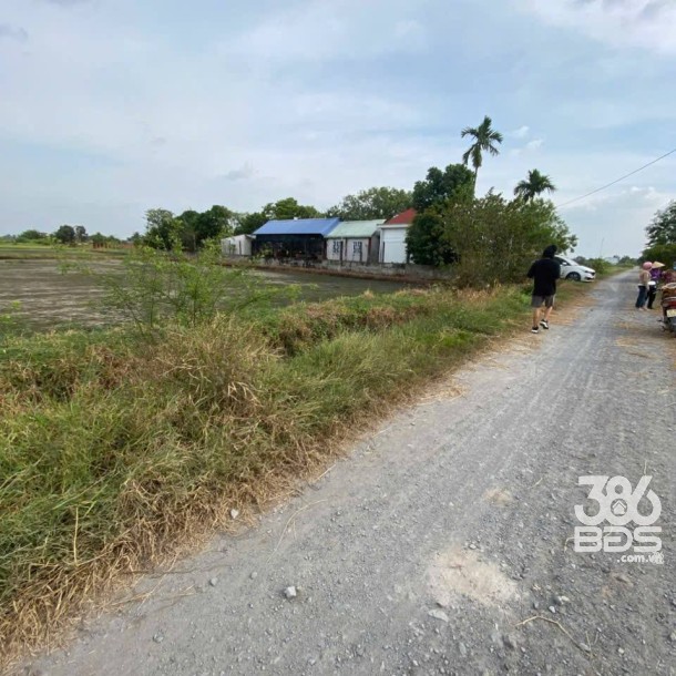 Bán đất thổ cư xã Đức Lập Hạ dt 500m2 đường đá xanh 6m giá 2,3 tỷ-1