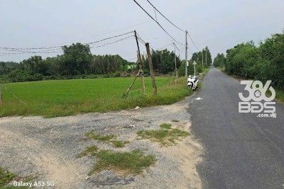 2000m2 đất lúa mặt tiền đường nhựa xã Tân Bửu, huyện Bến Lức giá 7,6 tỷ