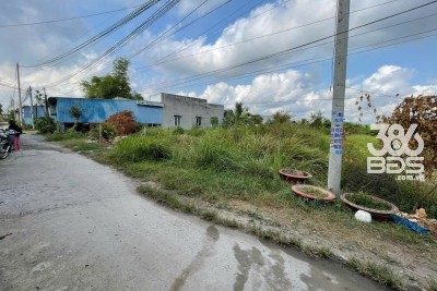 147m2 đất thổ ấp Bình tiền 1, xã Đức Hòa Hạ giá 1,5 tỷ