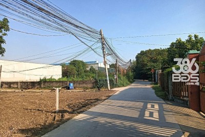 300m2 đất thổ hẻm ấp Bình Tả 2, xã Đức Hòa Hạ góc 2 mặt tiền đường beton giá 2,4 tỷ