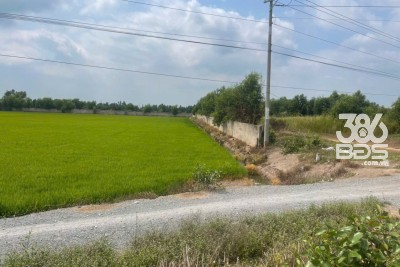 5 hec ta  SKC mặt tiền quốc lộ N2, xã Long Thạnh, Thủ Thừa giá 75 tỷ