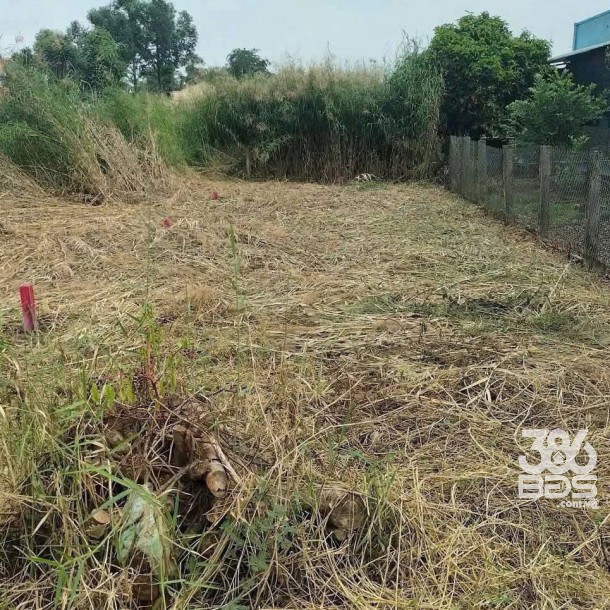 160m2 thổ cư mặt tiền Nguyễn Quang Đại, xã Mỹ Lệ giá 1,19 tỷ-4