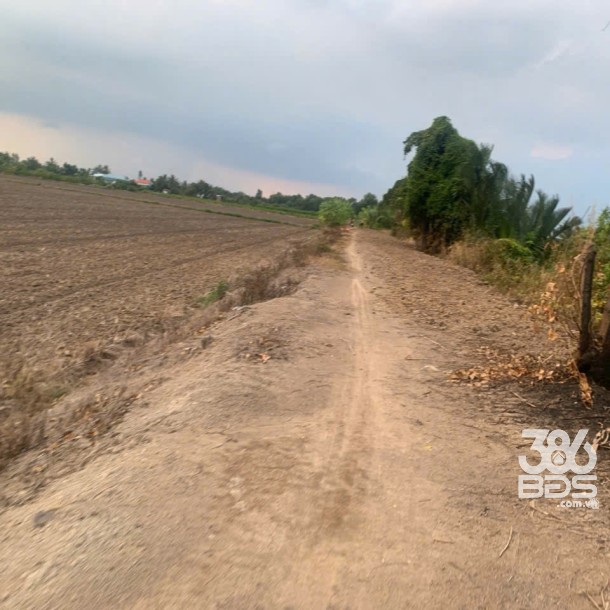 5585m2 đất vườn xã Lương Hòa, huyện Bến Lức giá 4,6 tỷ-1