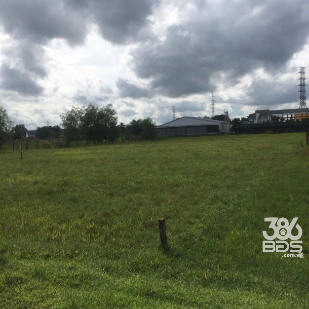 4736m2 đất mặt tiền Nguyễn Thị Nhia, xã Phước Hiệp giá 22 tỷ-2