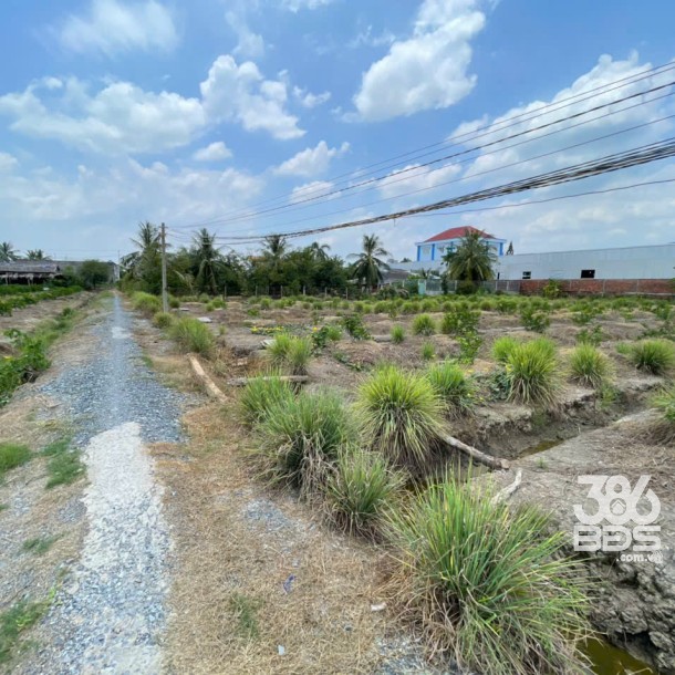 2700m2 đất lúa ấp 10, xã Lương Hòa, huyện Bến Lức giá 6,3 tỷ-3