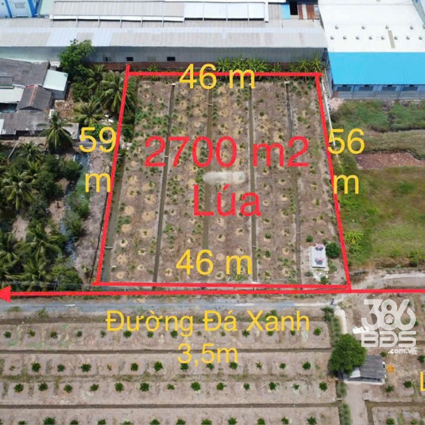 2700m2 đất lúa ấp 10, xã Lương Hòa, huyện Bến Lức giá 6,3 tỷ-4