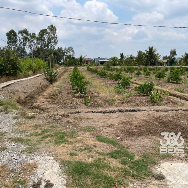 2700m2 đất lúa ấp 10, xã Lương Hòa, huyện Bến Lức giá 6,3 tỷ-6