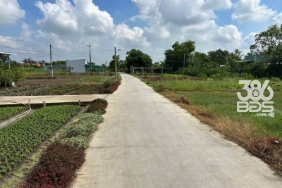 245m2 thổ cư góc 2 mặt tiền đường xã Phước Hậu, Cần Giuộc giá 1,8 tỷ