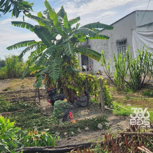 130m2 thổ cư view kênh ở xã Hòa Khánh Nam, Đức Hòa giá 1,15 tỷ-1