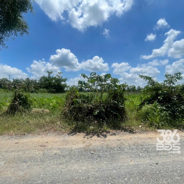 7000m2 đất nuôi trồng thủy sản, xã Phú Hòa Đông, Củ Chi giá 5 tỷ-1