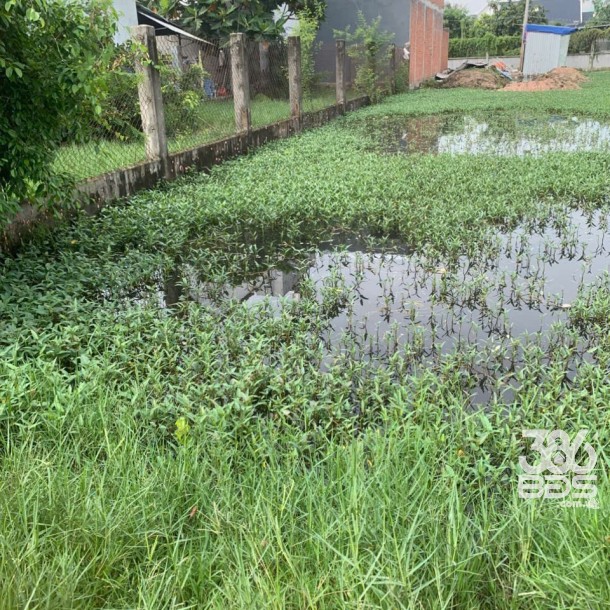 143m2 đất thổ hẻm xã Mỹ Hạnh Nam, Đức Hòa giá 1,5 tỷ-1