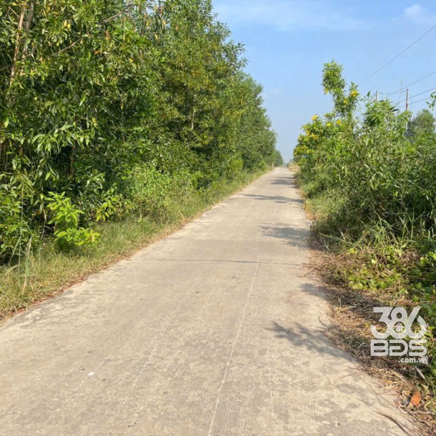 17200m2 đất vườn xã Tân Hòa, Bến Lức , Long An giá 24,1 tỷ-2
