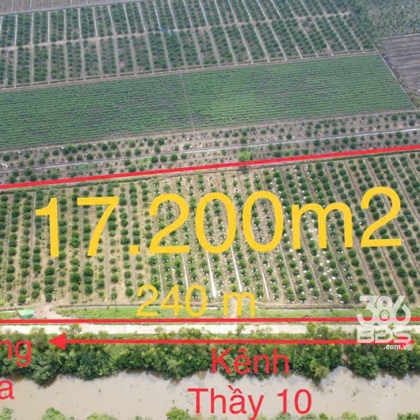17200m2 đất vườn xã Tân Hòa, Bến Lức , Long An giá 24,1 tỷ-5