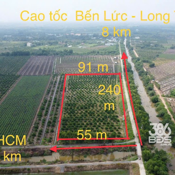 17200m2 đất vườn xã Tân Hòa, Bến Lức , Long An giá 24,1 tỷ-7