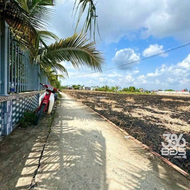 243m2 thổ cư 2 mặt tiền xã Long Hòa, Huyện Cần Đước giá 1,15 tỷ-1