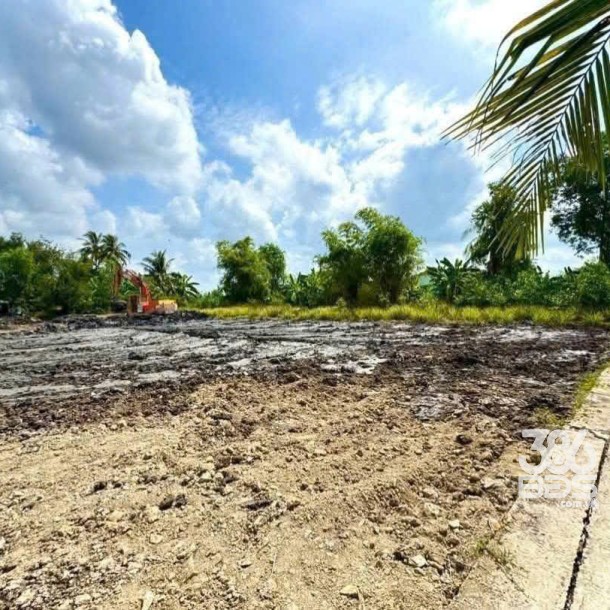 243m2 thổ cư 2 mặt tiền xã Long Hòa, Huyện Cần Đước giá 1,15 tỷ-3