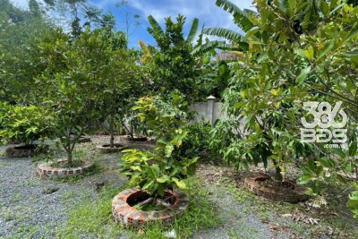 Nhà vườn nghỉ dưỡng xã Phước Thạnh, Củ Chi dt 460m2 2pn 2wc giá 4,2 tỷ