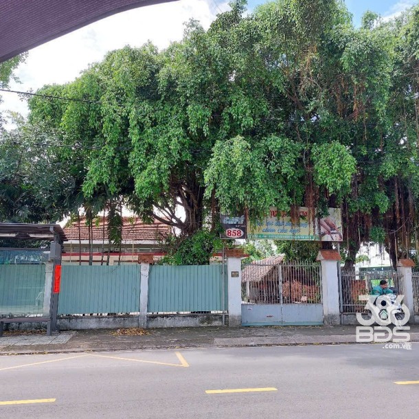 1795m2 đất mặt tiền Tỉnh Lộ 15, xã Tân Thạnh Đông, Củ Chi giá 20 tỷ-1