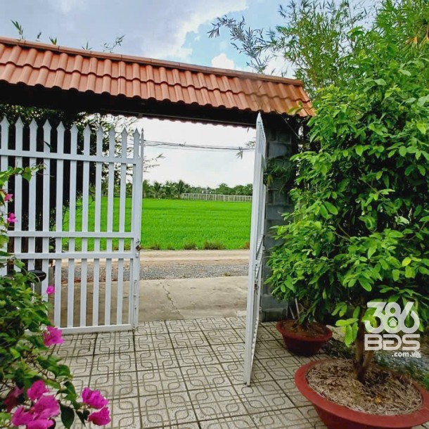 Nhà vườn nghỉ dưỡng xã Mỹ Lộc, Cần Giuộc dt 200m2 2pn 2wc giá 2,5 tỷ-7