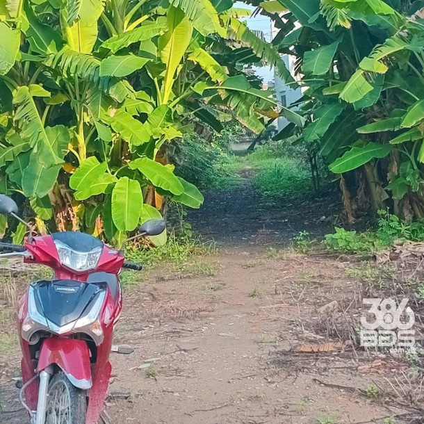 1500m2 đất thổ vườn xã Long Sơn, Cần Đước giá 2,7 tỷ-5