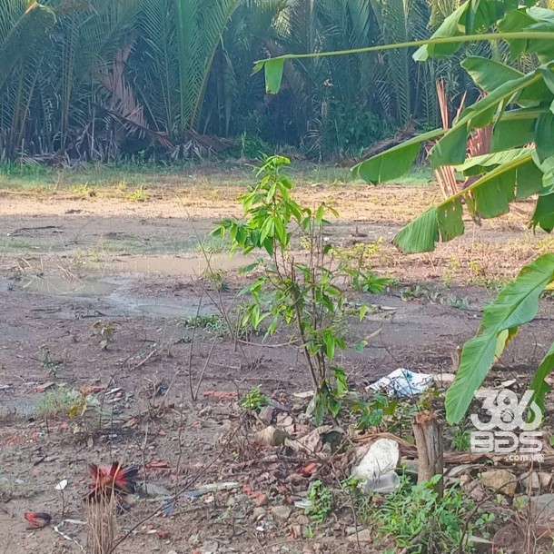1500m2 đất thổ vườn xã Long Sơn, Cần Đước giá 2,7 tỷ-6