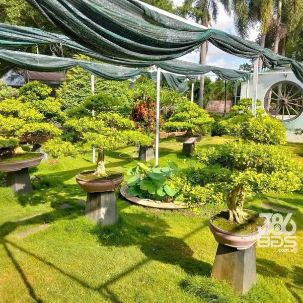 Siêu phẩm nhà vườn mặt tiền QL1A , xã Thạnh Đức, Bến Lức dt 15000m2 giá 75 tỷ-5