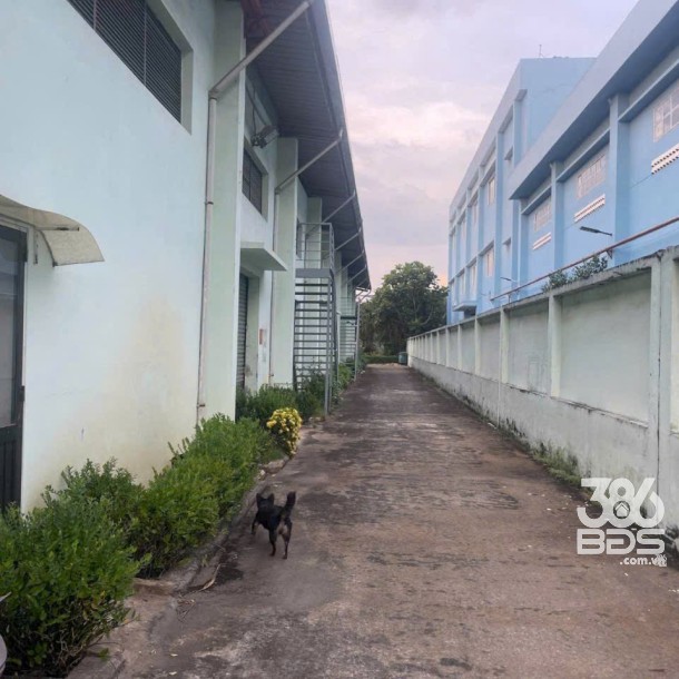 Xưởng KCN Tân Đức, xã Đức Hòa Hạ, Đức Hòa tổng dt 8500m2 giá 56 tỷ-7
