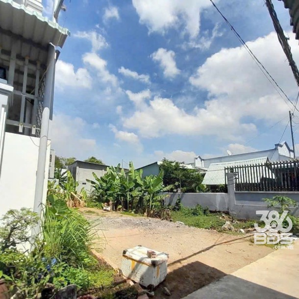 100m2 thổ cư hẻm beton xe ba gác xã Phước Hậu, Cần Giuộc giá 1 tỷ-3