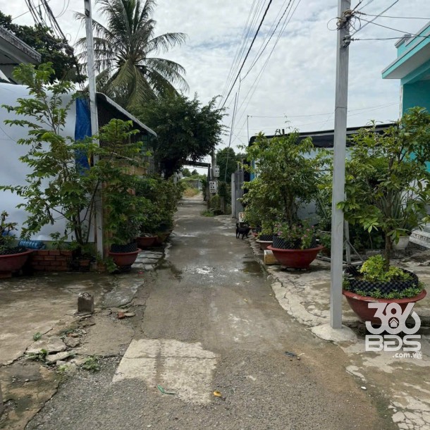 141m2 thổ cư hẻm trung tâm thị trấn Cần Giuộc giá 1,45 tỷ-1
