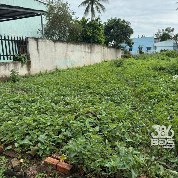 141m2 thổ cư hẻm trung tâm thị trấn Cần Giuộc giá 1,45 tỷ-2