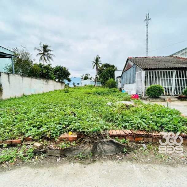 141m2 thổ cư hẻm trung tâm thị trấn Cần Giuộc giá 1,45 tỷ-3