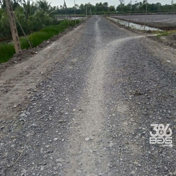 3500m2 đất vườn xã Hòa Khánh Tây, Đức Hòa giá 3,8 tỷ-1
