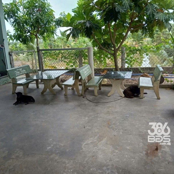 3500m2 đất vườn xã Hòa Khánh Tây, Đức Hòa giá 3,8 tỷ-6