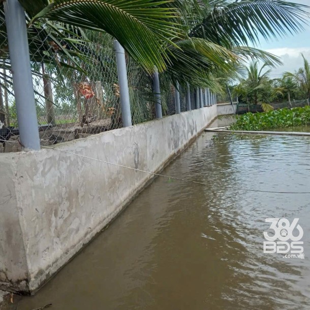 3500m2 đất vườn xã Hòa Khánh Tây, Đức Hòa giá 3,8 tỷ-7