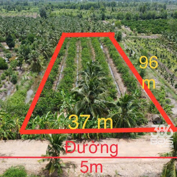 3698m2 đất vườn thổ ấp 9, Lương Hòa, Bến Lức ,Long An giá 6 tỷ-2
