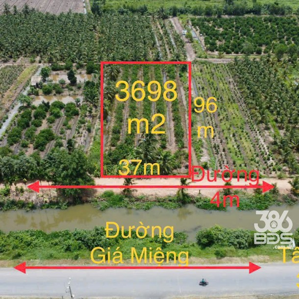 3698m2 đất vườn thổ ấp 9, Lương Hòa, Bến Lức ,Long An giá 6 tỷ-6