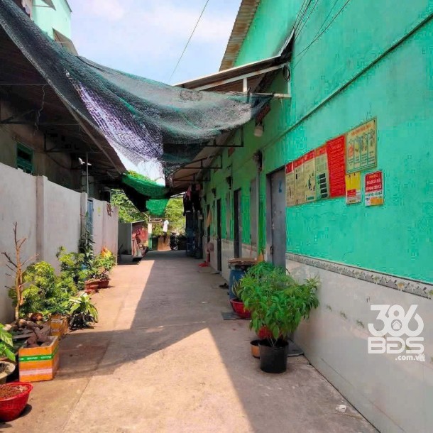 Nhà trọ 7 phòng , 2/ Thới Hòa, Vĩnh Lộc A, Bình Chánh tổng dt 196m2 giá 5,2 tỷ-1