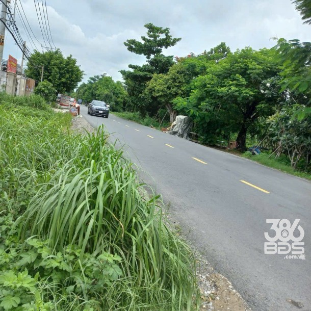 575m2 đất mặt tiền đường Thanh Niên, xã Phạm Văn Hai , Bình Chánh giá 9,9 tỷ-3