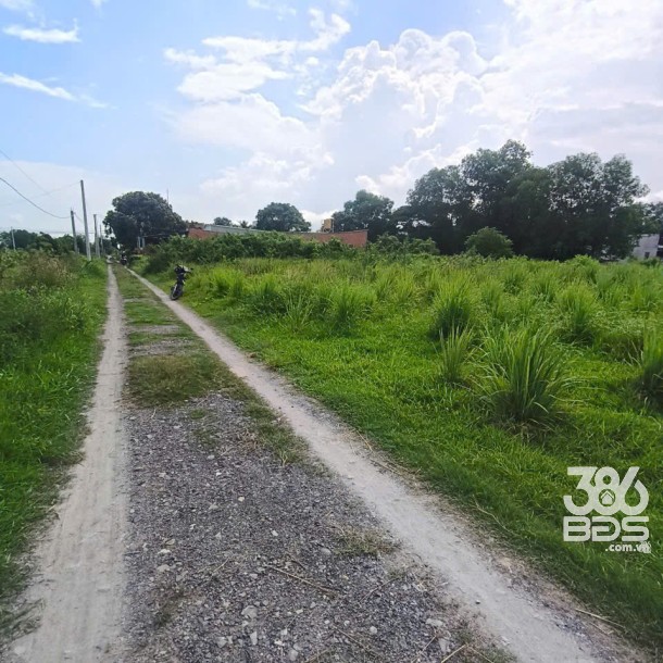 1582m2 đất vườn xã Đức Hòa Thượng , Đức Hòa, Long An giá 6,5 tỷ-2