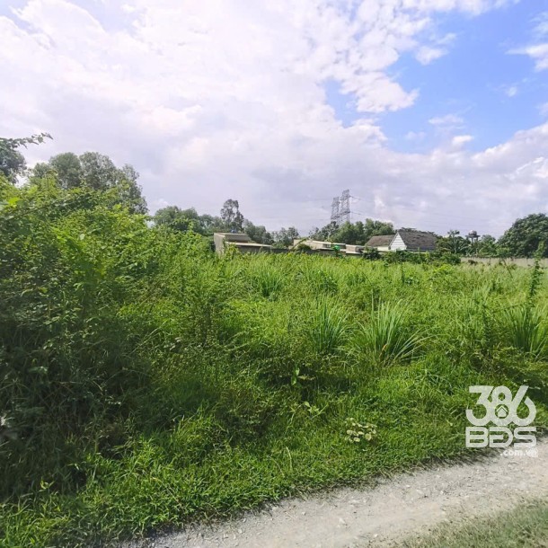 1582m2 đất vườn xã Đức Hòa Thượng , Đức Hòa, Long An giá 6,5 tỷ-4
