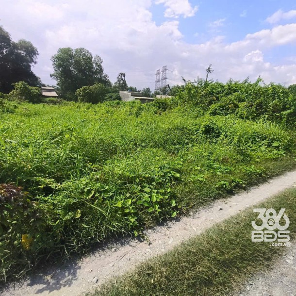 1582m2 đất vườn xã Đức Hòa Thượng , Đức Hòa, Long An giá 6,5 tỷ-5