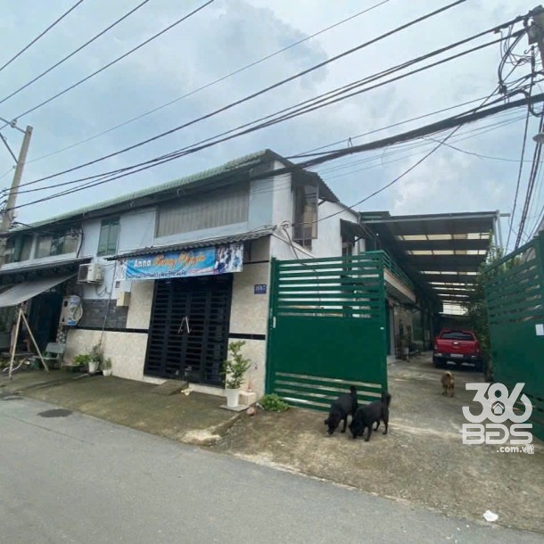 Nhà xưởng mặt tiền đường nhựa Tân Tạo, Bình Tân dt 900m2 giá 11,5 tỷ-2