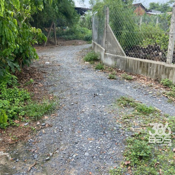 1440m2 đất vườn ( có 100m2 thổ + nhà cấp 4 2pn 1wc) xã Trung An. Củ Chi giá 3,9 tỷ-3