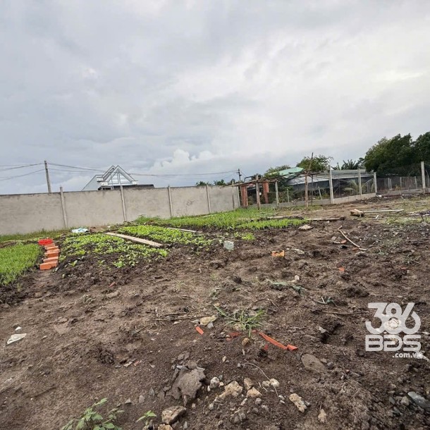 550m2 đất 2 mặt tiền ( có 300m2 thổ cư) đường Lương Văn Bào, Cần Giuộc giá 3,9 tỷ-4