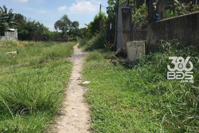 496m2 ( có 300m2 thổ ) đất hẻm xã Vĩnh Lộc A, Bình Chánh giá 6,5 tỷ