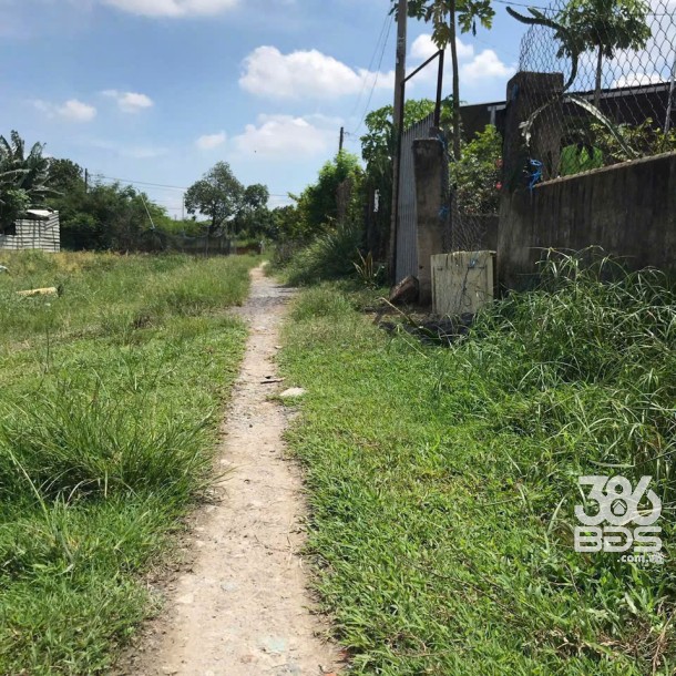 496m2 ( có 300m2 thổ ) đất hẻm xã Vĩnh Lộc A, Bình Chánh giá 6,5 tỷ-1
